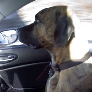 Meet your Posher, Jonathon